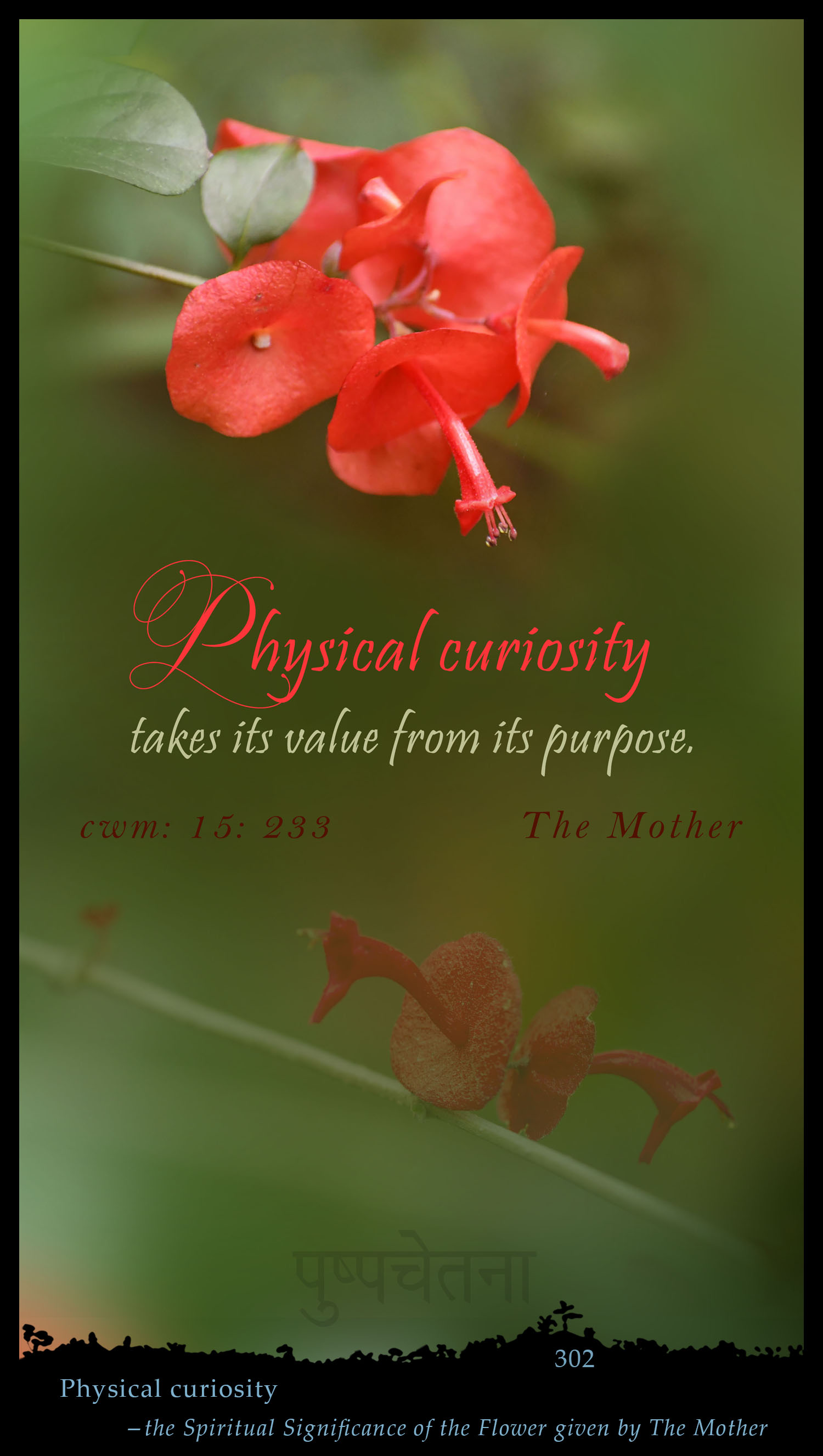 Physical Curiosity